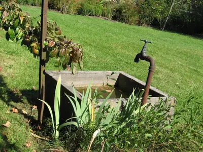 Jardin de l'établissement Clos Florésine B&B