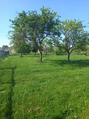 Jardin de l'établissement Maison charmante à Chepy avec jardin et piste de pétanque
