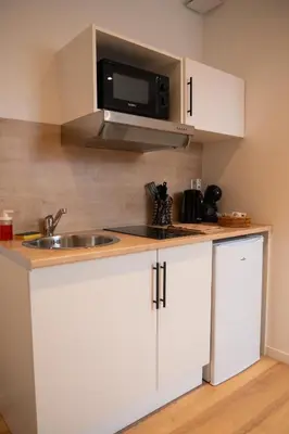 Cuisine ou kitchenette dans l'établissement Studio Séduisant 2pers wifi gare
