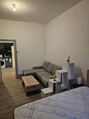 Coin salon dans l'établissement Charmant petit pont Ardennais/cosy/T1/wifi/parking