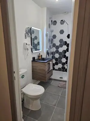 Salle de bains dans l'établissement Charmant petit pont Ardennais/cosy/T1/wifi/parking
