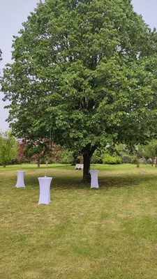 Jardin de l'établissement La Rose Paisible
