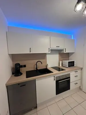 Cuisine ou kitchenette dans l'établissement Appartement de Charles