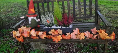 Jardin de l'établissement La Villa Beausejour