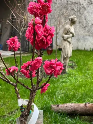 Jardin de l'établissement Les Portes Bleues