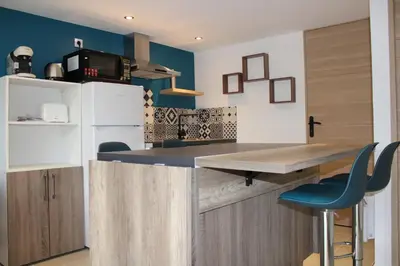 Cuisine ou kitchenette dans l'établissement Bel appartement neuf proche Disneyland et Paris- A proximité de la gare de Meaux