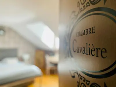 Un ou plusieurs lits dans un hébergement de l'établissement Champagne Domaine Sacret - AY