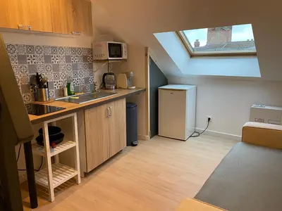 Cuisine ou kitchenette dans l'établissement Studio cosy