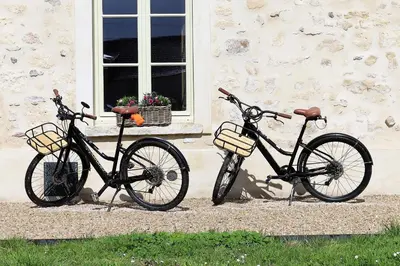 Vélo sur le terrain de l'établissement La petite châtelaine - Charmante maison au calme ou dans les environs