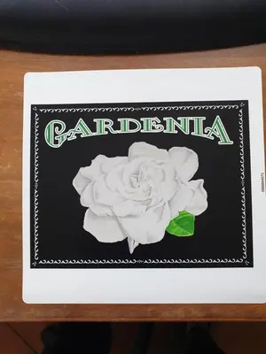 Certificat, récompense, panneau ou autre document affiché dans l'établissement Gardenia