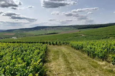 Paysage naturel près de l'appartement