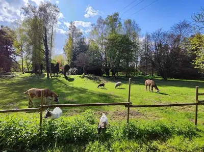 Clients de l'établissement Moulin de Courcelles