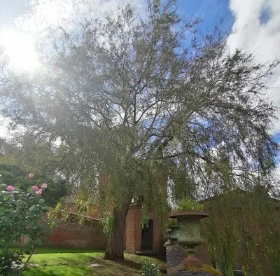 Jardin de l'établissement Le relais Napoléon