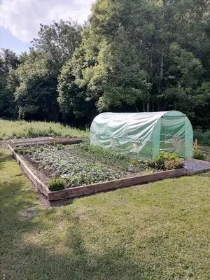 Jardin de l'établissement Chez Fabiola et Alain