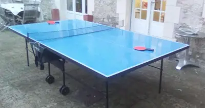 Tennis de table au sein de l'établissement Maison de village ou à proximité