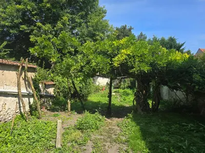 Jardin de l'établissement La Glycine
