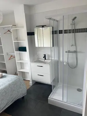 Salle de bains dans l'établissement Grand appartement Standing reims centre Arena