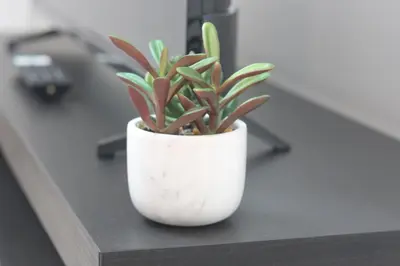 Plan de l'établissement Cœur des Moissons, Centre Ville avec Parking Privé