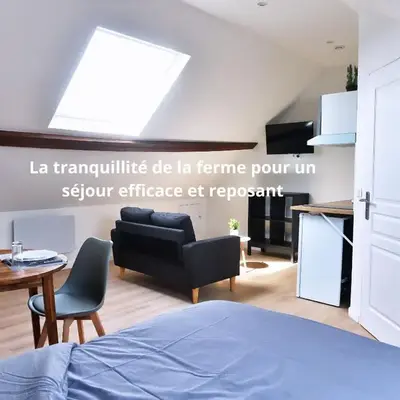 ZenkaSerenity-Ferme paisible Centre CHU-wifi-pro