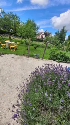 Jardin de l'établissement Le Truc en plus, accessibles PMR, appartement 45 m2 mitoyen dans une maison avec un autre appartement