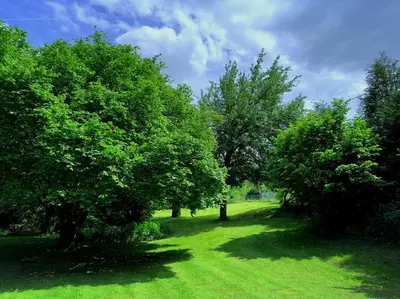 Jardin de l'établissement Le Moulin de Beaumanoir