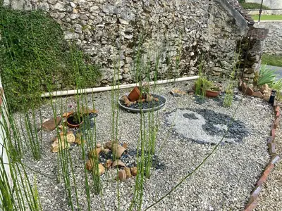 Jardin de l'établissement Chez Chat & Chou