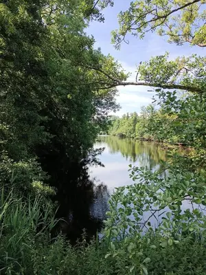 Paysage naturel près de la maison de vacances