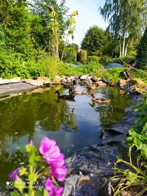 Paysage naturel près de la tente de luxe