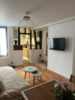 Télévision ou salle de divertissement dans l'établissement Havre de paix, centre ville de Châlons en Champagne