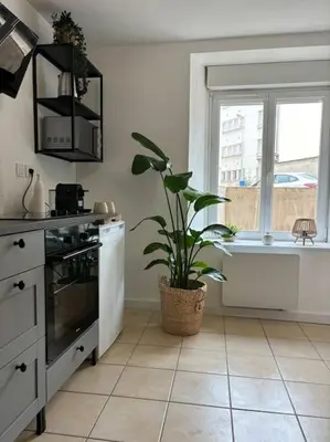 Cuisine ou kitchenette dans l'établissement Le studio