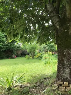 Jardin de l'établissement Le gîte des Francs Bourgeois