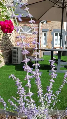 Jardin de l'établissement Le Scailleteux, petite maison de mineur, climatisée non accessible PMR
