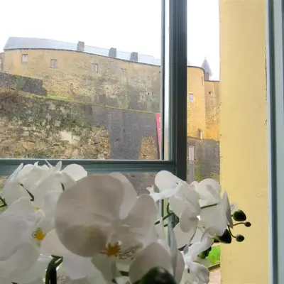 Vue magnifique sur le Château fort