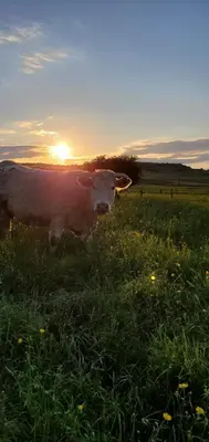 Paysage naturel près de la tente de luxe