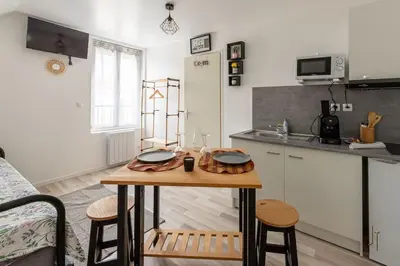 Cuisine ou kitchenette dans l'établissement Confortable studio tout confort