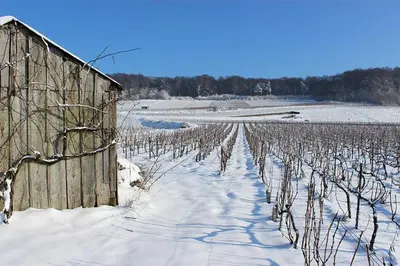 L'établissement Roulotte la Dominique en hiver