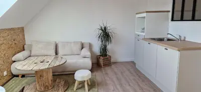 Cuisine ou kitchenette dans l'établissement appartement dans une écurie