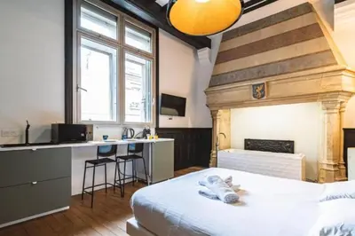 Un ou plusieurs lits dans un hébergement de l'établissement Fire, Appartement vue Cathédrale