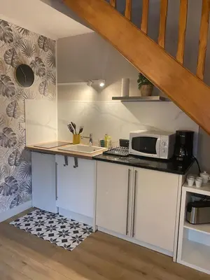 Cuisine ou kitchenette dans l'établissement Studio Champ Lez