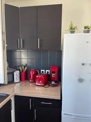 Cuisine ou kitchenette dans l'établissement Le Nid Douillet