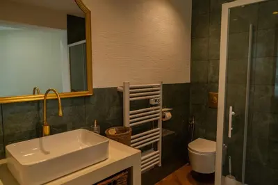 Salle de bains dans l'établissement Le Cozy Reims -Escapade raffinée avec spa privé