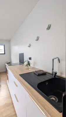 Cuisine ou kitchenette dans l'établissement Jupiter Tiny House