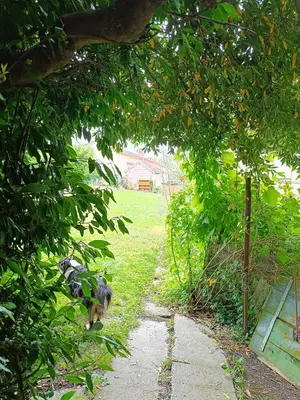 Jardin de l'établissement Charmante petite maison à la campagne
