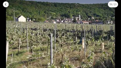 Paysage naturel près de l'appartement