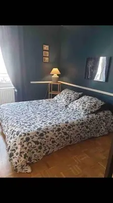 Un ou plusieurs lits dans un hébergement de l'établissement Duplex spacieux centre ville Parking sur place