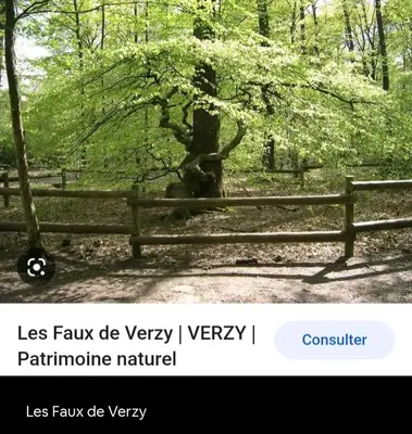 Paysage naturel près de l'appartement