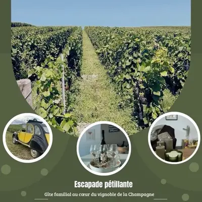 Gîte familial dans le vignoble champenois