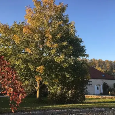 Gîte 8 chambres entre Reims et Epernay - La Chenevière - Gîtes Au Beau Sarrazin