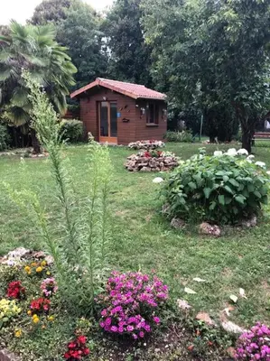 Jardin de l'établissement L'Oasis Champenois - Terrace, Garden, Wifi