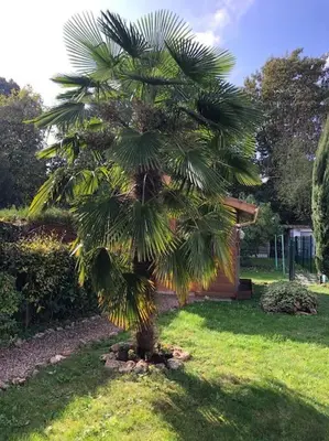 Jardin de l'établissement L'Oasis Champenois - Terrace, Garden, Wifi